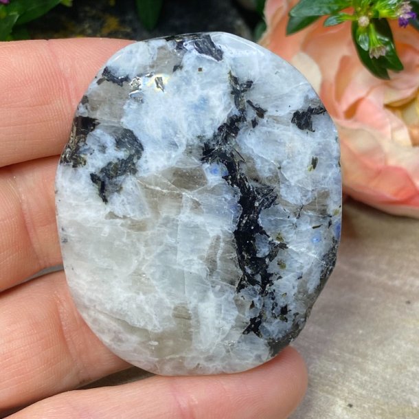 Regnbue mnesten jumbo