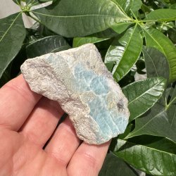Larimar r� afsk�ring