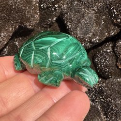 Malakit skildpadde