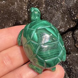 Malakit skildpadde