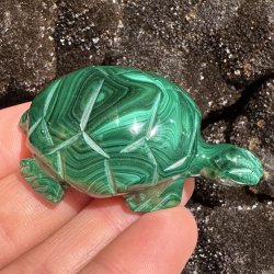 Malakit skildpadde