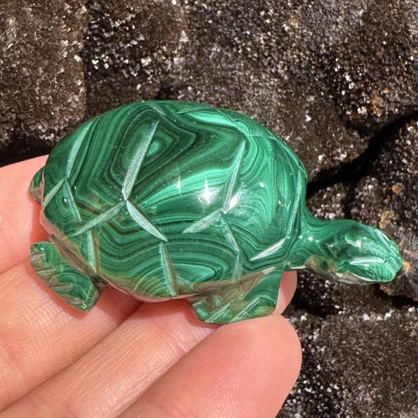 Malakit skildpadde