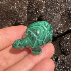 Malakit skildpadde