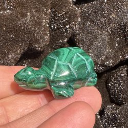 Malakit skildpadde