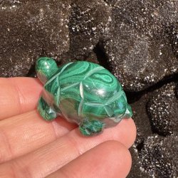 Malakit skildpadde