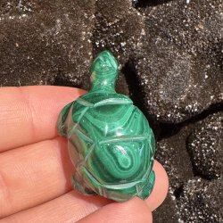 Malakit skildpadde