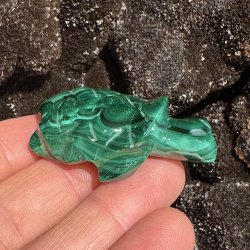 Malakit skildpadde