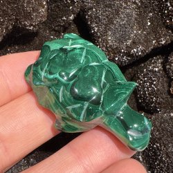 Malakit skildpadde