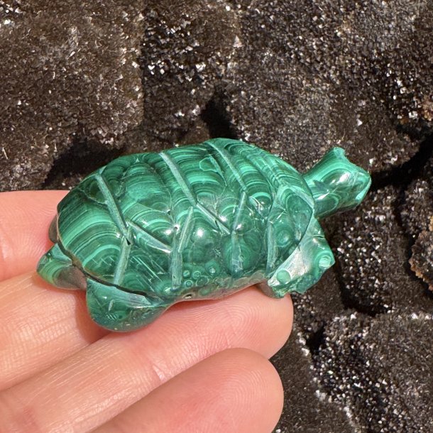 Malakit skildpadde