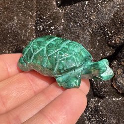 Malakit skildpadde