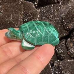 Malakit skildpadde