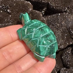 Malakit skildpadde