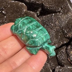 Malakit skildpadde