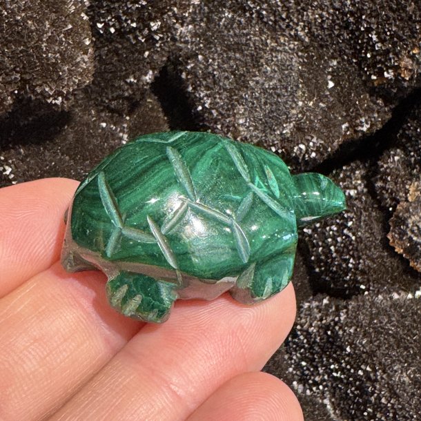Malakit skildpadde