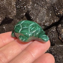 Malakit skildpadde