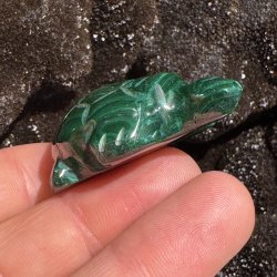 Malakit skildpadde