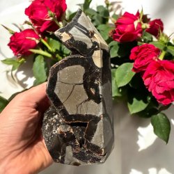 Septarie t�rn druzy 170mm