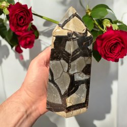 Septarie t�rn druzy 170mm