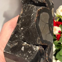 Septarie t�rn druzy 170mm