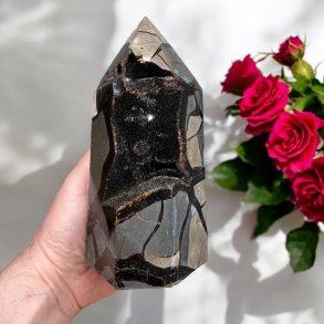 Septarie trn druzy 175mm