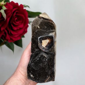 Septarie trn druzy 165mm