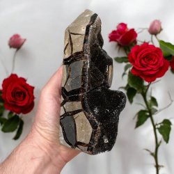 Septarie trn druzy 165mm