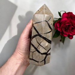 Septarie trn druzy 165mm