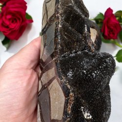 Septarie trn druzy 165mm