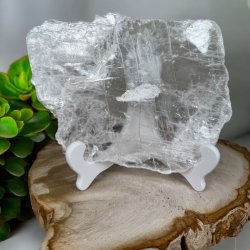 Marienglas fra Mexico incl stand