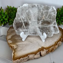 Marienglas fra Mexico incl stand