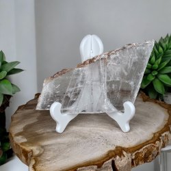 Marienglas fra Mexico incl stand