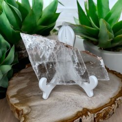 Marienglas fra Mexico incl stand