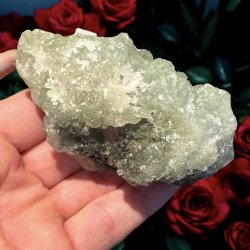 Prehnit klynge m. epidot