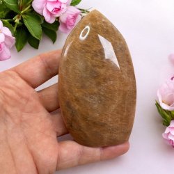 Fersken m�nesten freeform