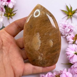 Fersken mnesten freeform