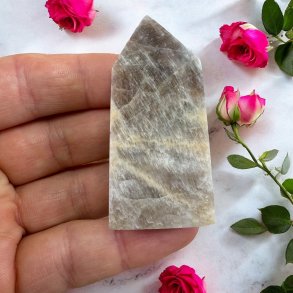 Regnbue mnesten trn 62mm