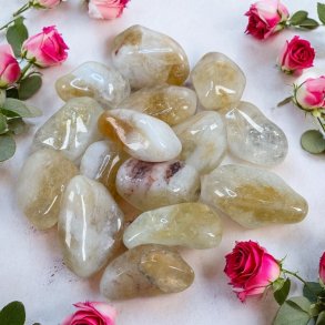 Brndt citrin lommesten