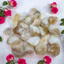 Brndt citrin lommesten