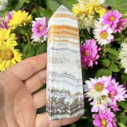 Zebra calcit t�rn 142mm