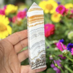 Zebra calcit t�rn 142mm