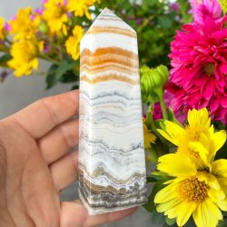 Zebra calcit t�rn 142mm