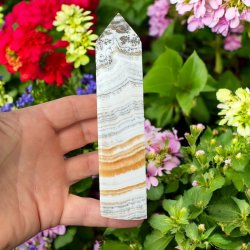 Zebra calcit t�rn 145mm