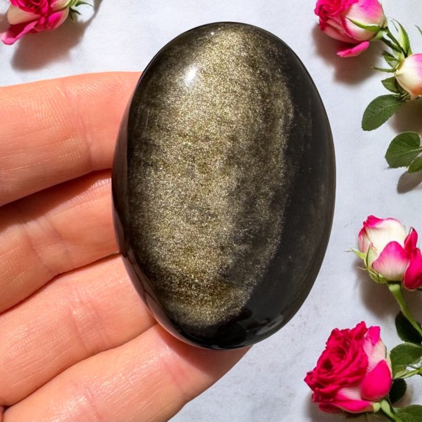 Guld obsidian jumbo