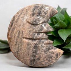 Sort mnesten mneansigt