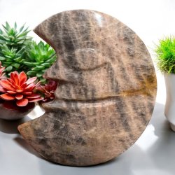 Sort mnesten mneansigt