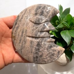 Sort mnesten mneansigt