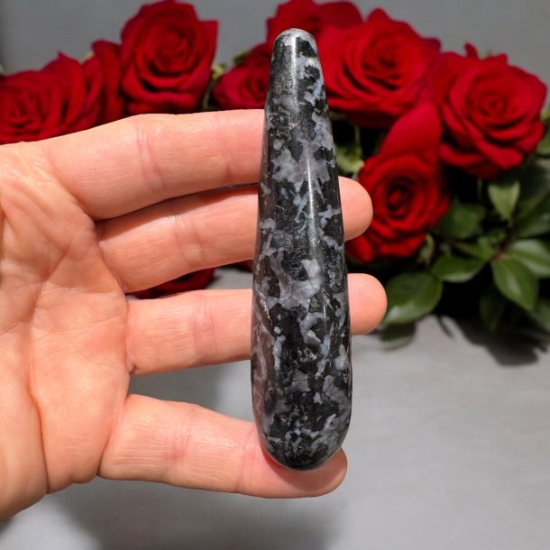 Gabbro healerstav