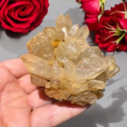 Golden healer / limonit klynge