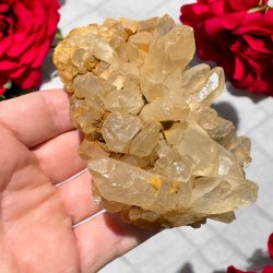 Golden healer / limonit klynge