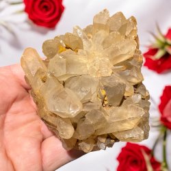 Golden healer / limonit klynge